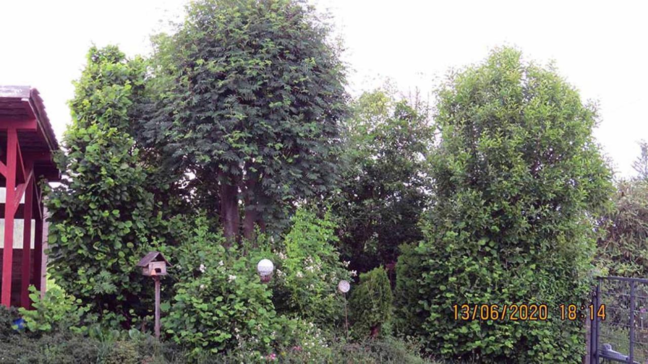 Villa Casa Roja Hilders Esterno foto